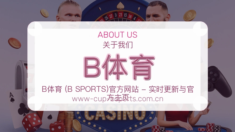 B体育关于平台与用户服务展示
